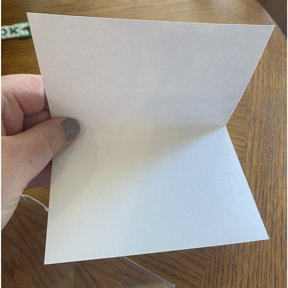 Eskimo Joes Notecards RARE Set New in Box Blank Thank You Eskimo Joe & Buffy Set - Picture 5 of 9